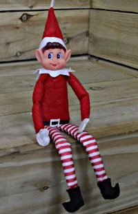 ELF_ONA_SHELF