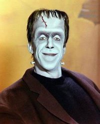 HermanMunster